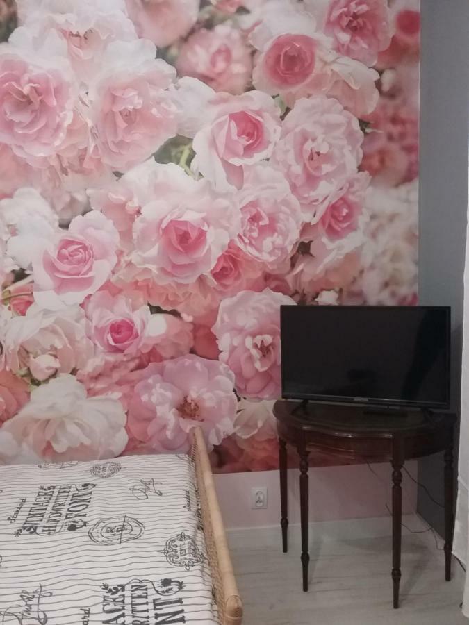Vintage - Rose Apartament Stary Toruń Zewnętrze zdjęcie