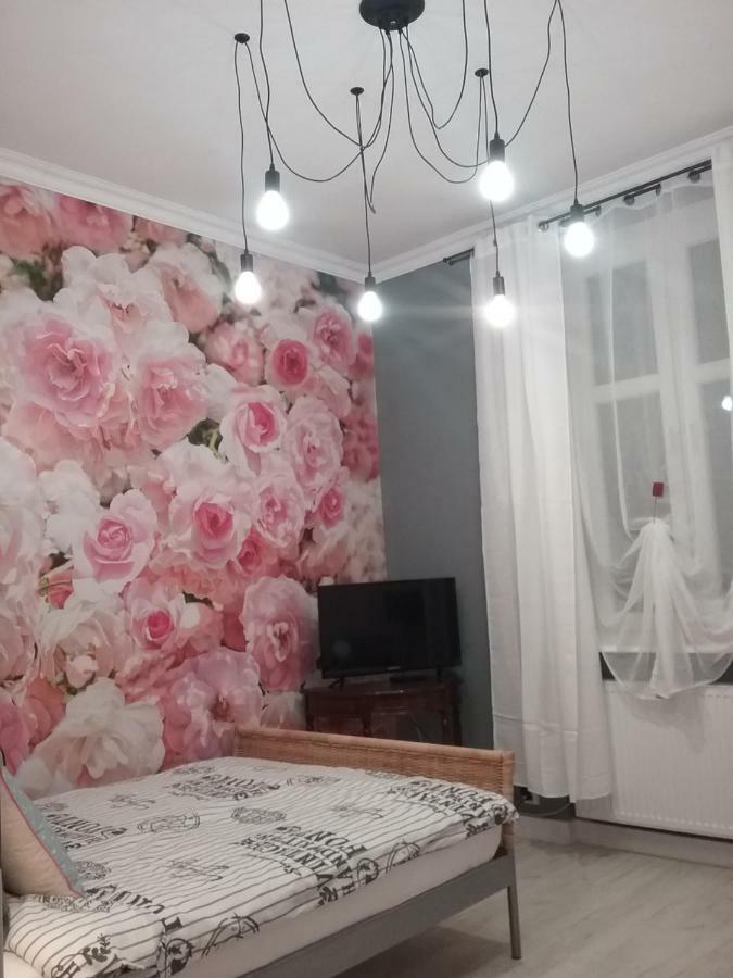 Vintage - Rose Apartament Stary Toruń Zewnętrze zdjęcie