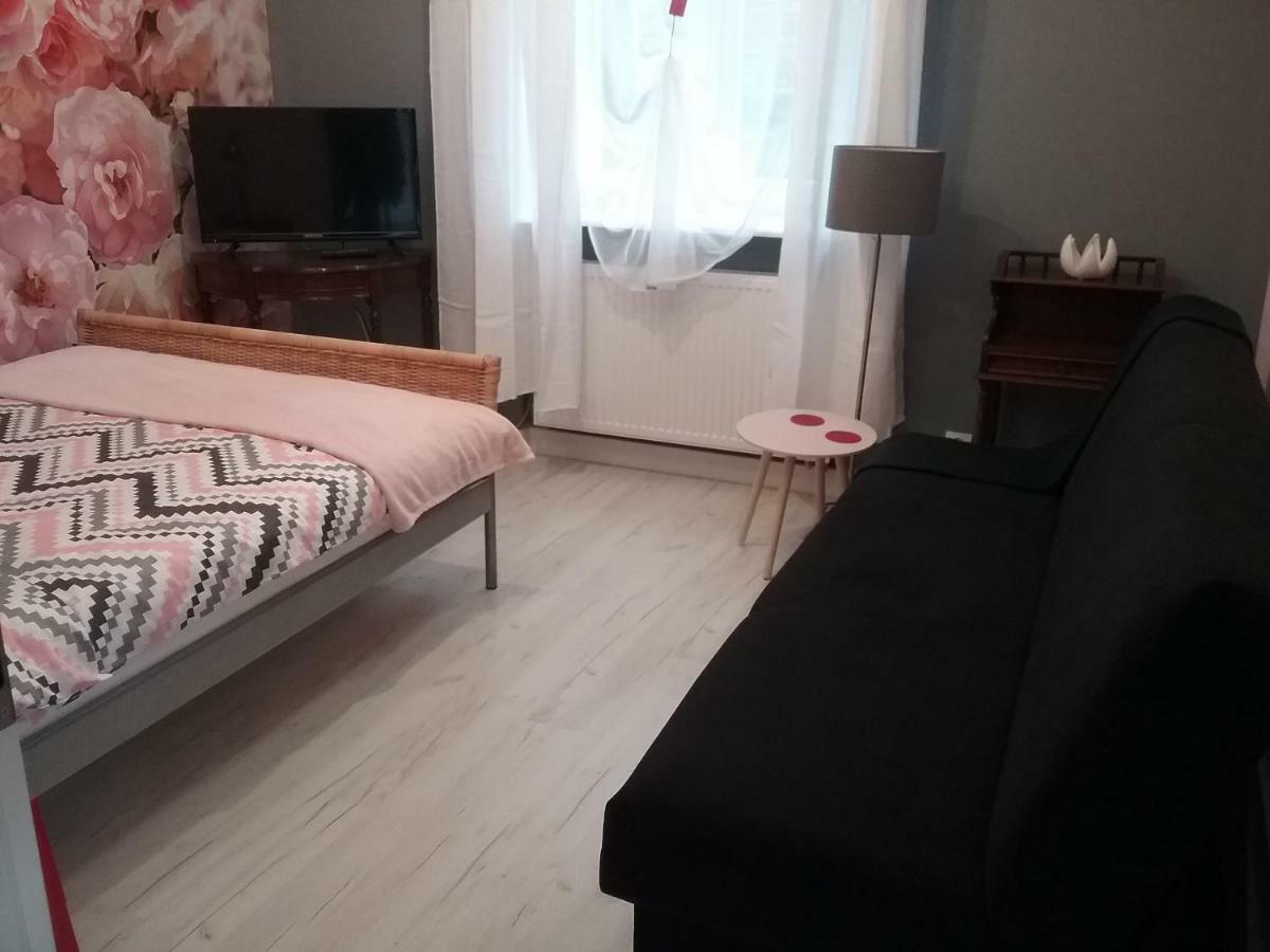 Vintage - Rose Apartament Stary Toruń Zewnętrze zdjęcie